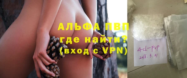 крисы Алзамай