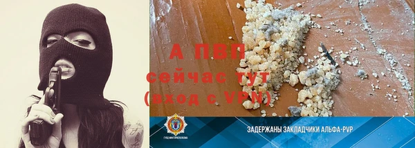 сатива Алексин