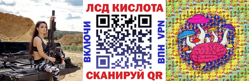 дарнет шоп  Усмань  Марки N-bome 1,8мг 