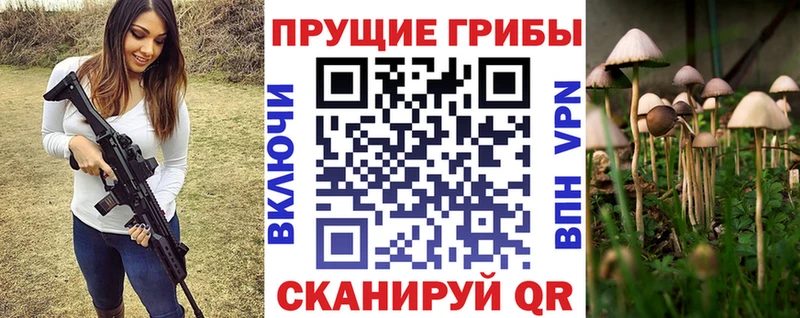 где продают   Усмань  Галлюциногенные грибы ЛСД 